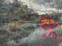 a photo of a flower in a garden